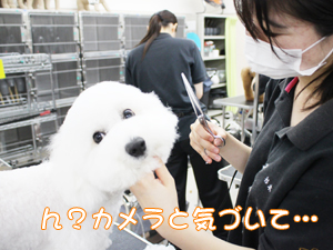☆カメラ目線特集☆
